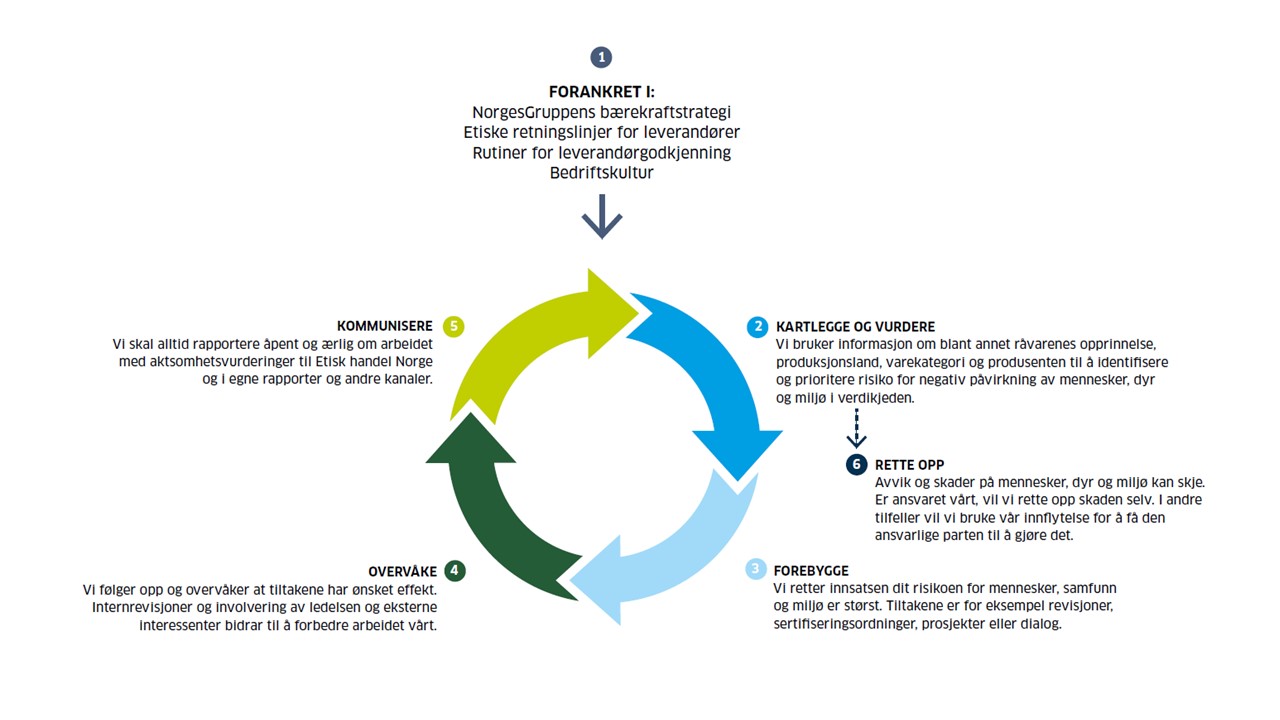 OECDs metode og prosess for aktsomhetsvurderinger