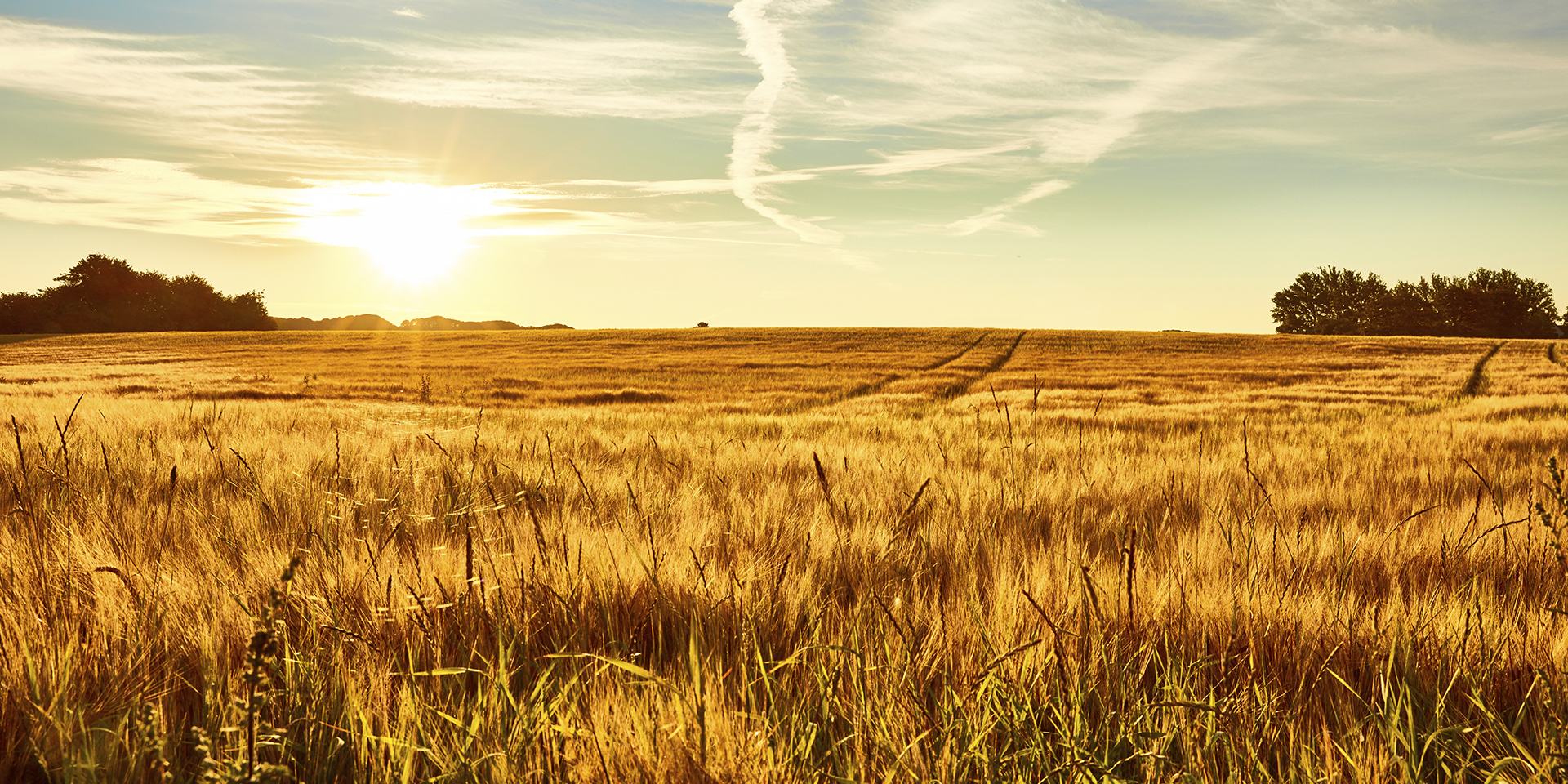 Lokalmat