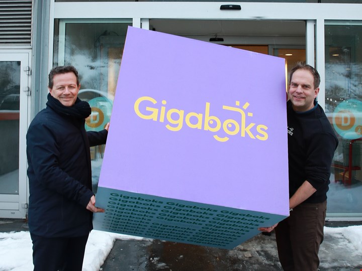 Gigaboks: NorgesGruppen lanserer ny storhandelskjede
