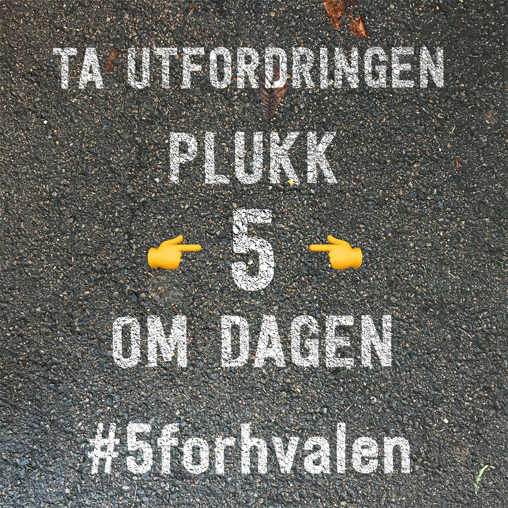 5 for hvalen inspirasjonsbilde