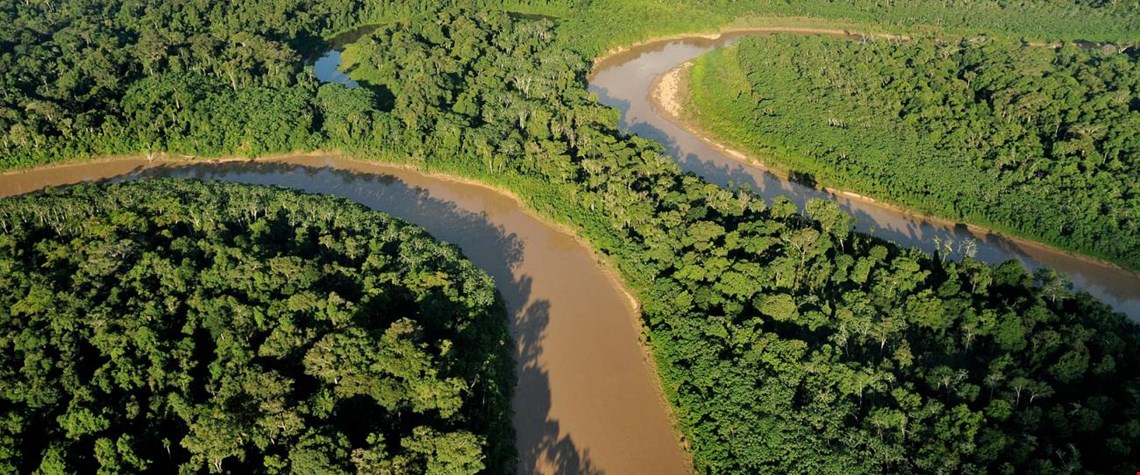Øker innsatsen for å bevare regnskogen 