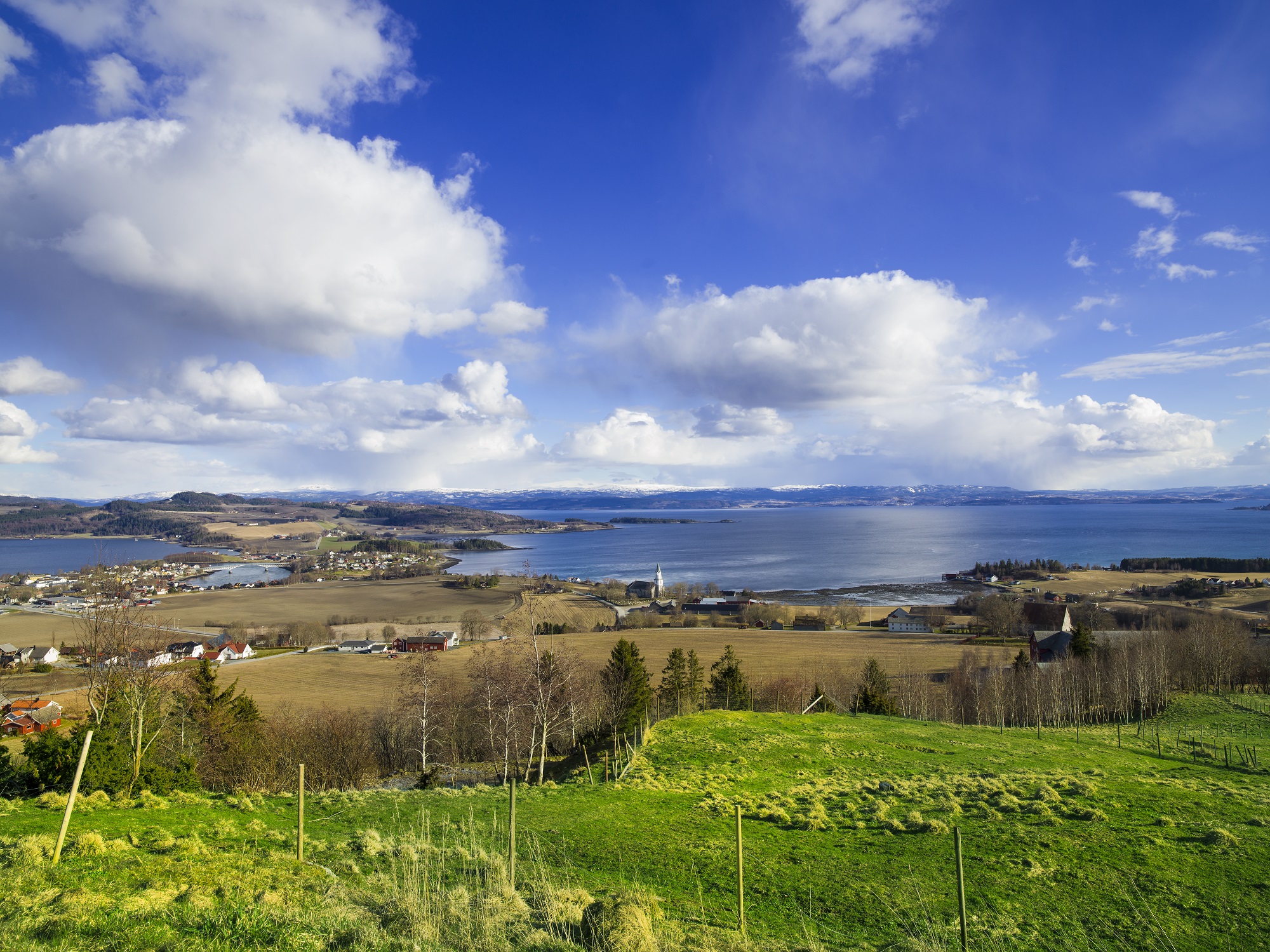 Vi handler dobbelt så mye lokalmat i jula