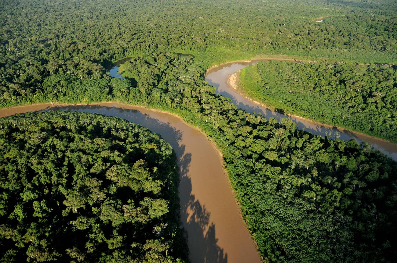 UNIL støtter Regnskogfondet med 350 000 kroner