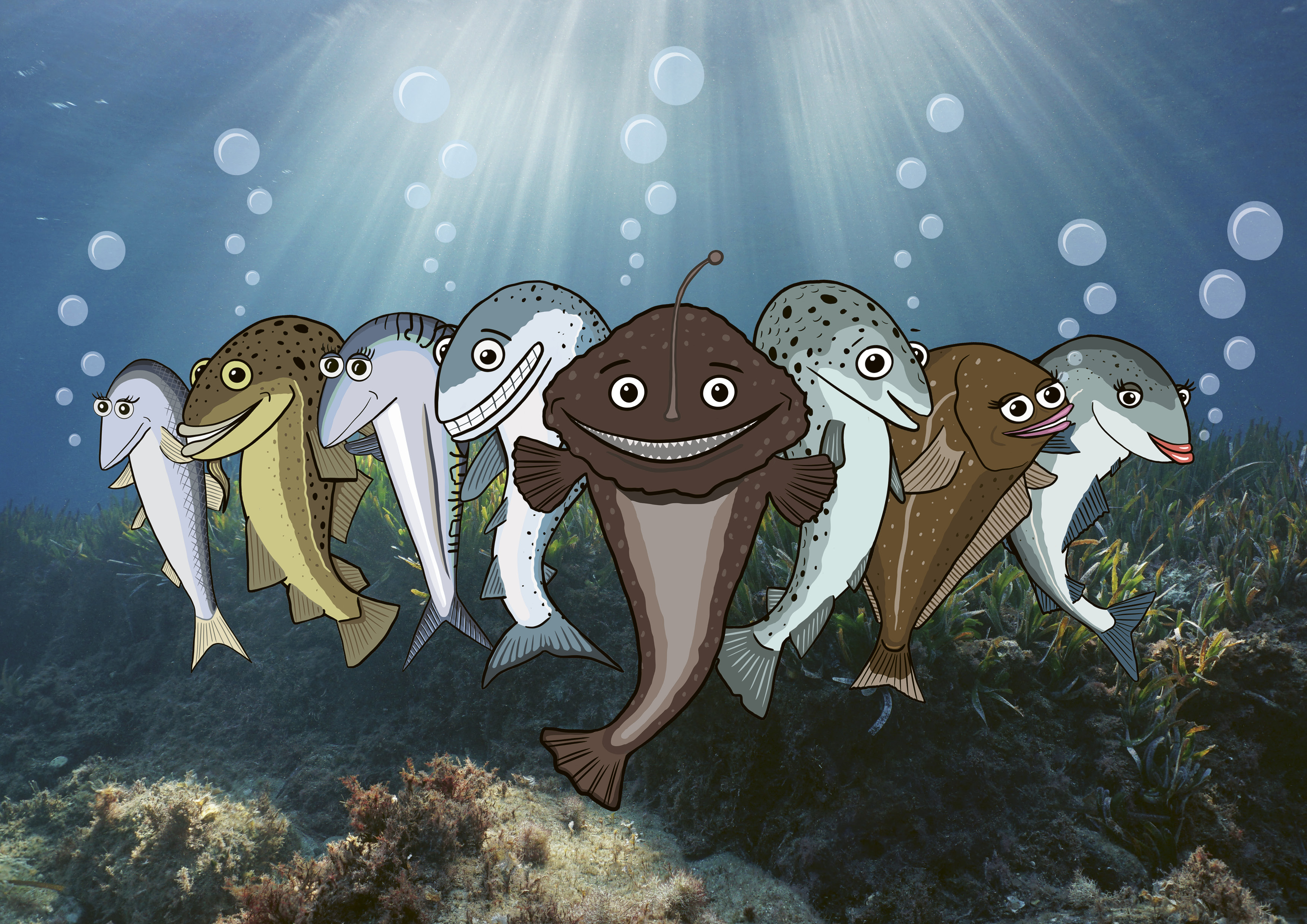 Med Sofie Sei kan barna lære mer om fisk