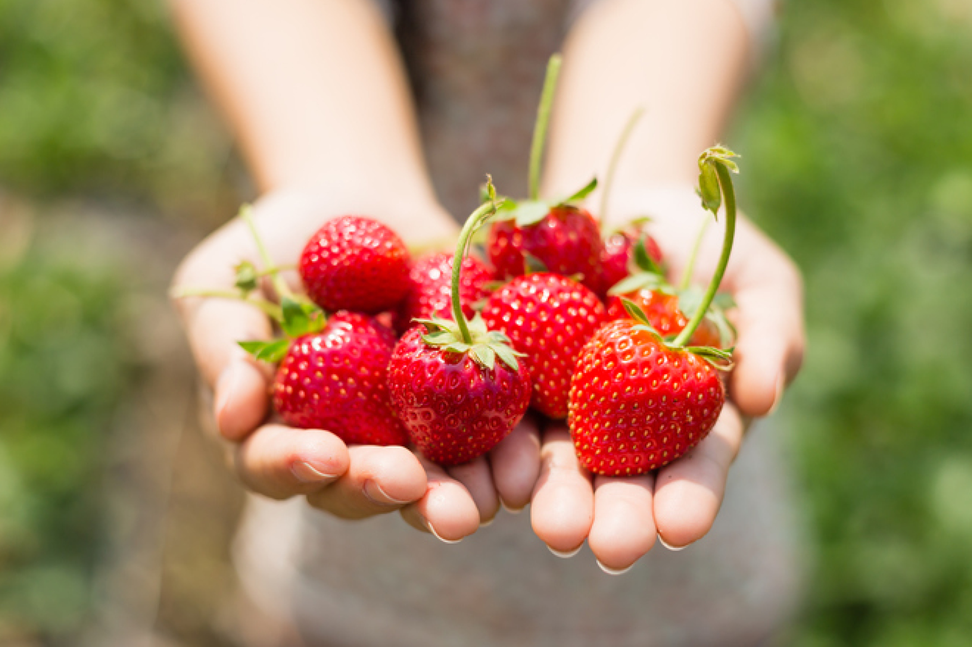 Grønne innovasjoner i landbruket