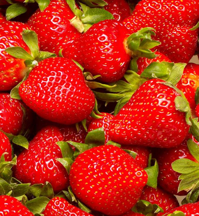 Bær - Sunt og trendy