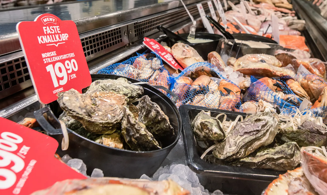 Stillehavsøsters: Fra miljøproblem til kortreist godbit!