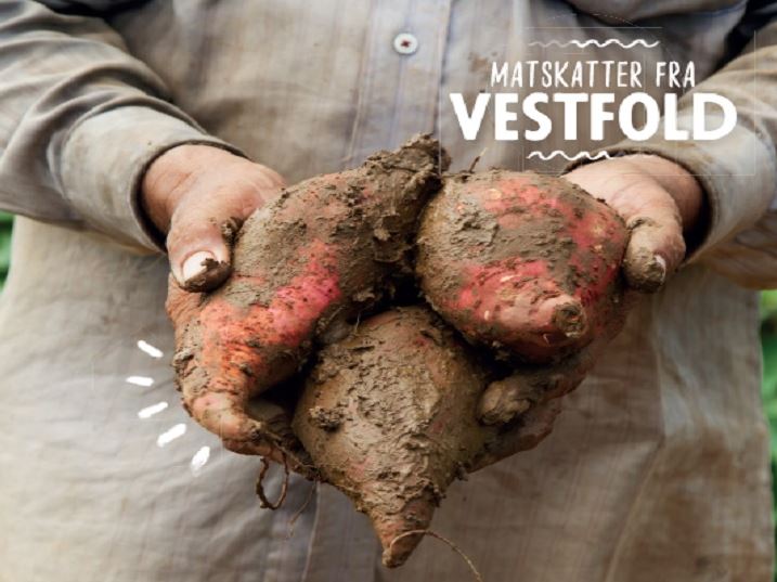 Frister med arktiske søtpoteter: Norsk søtpotet i butikk