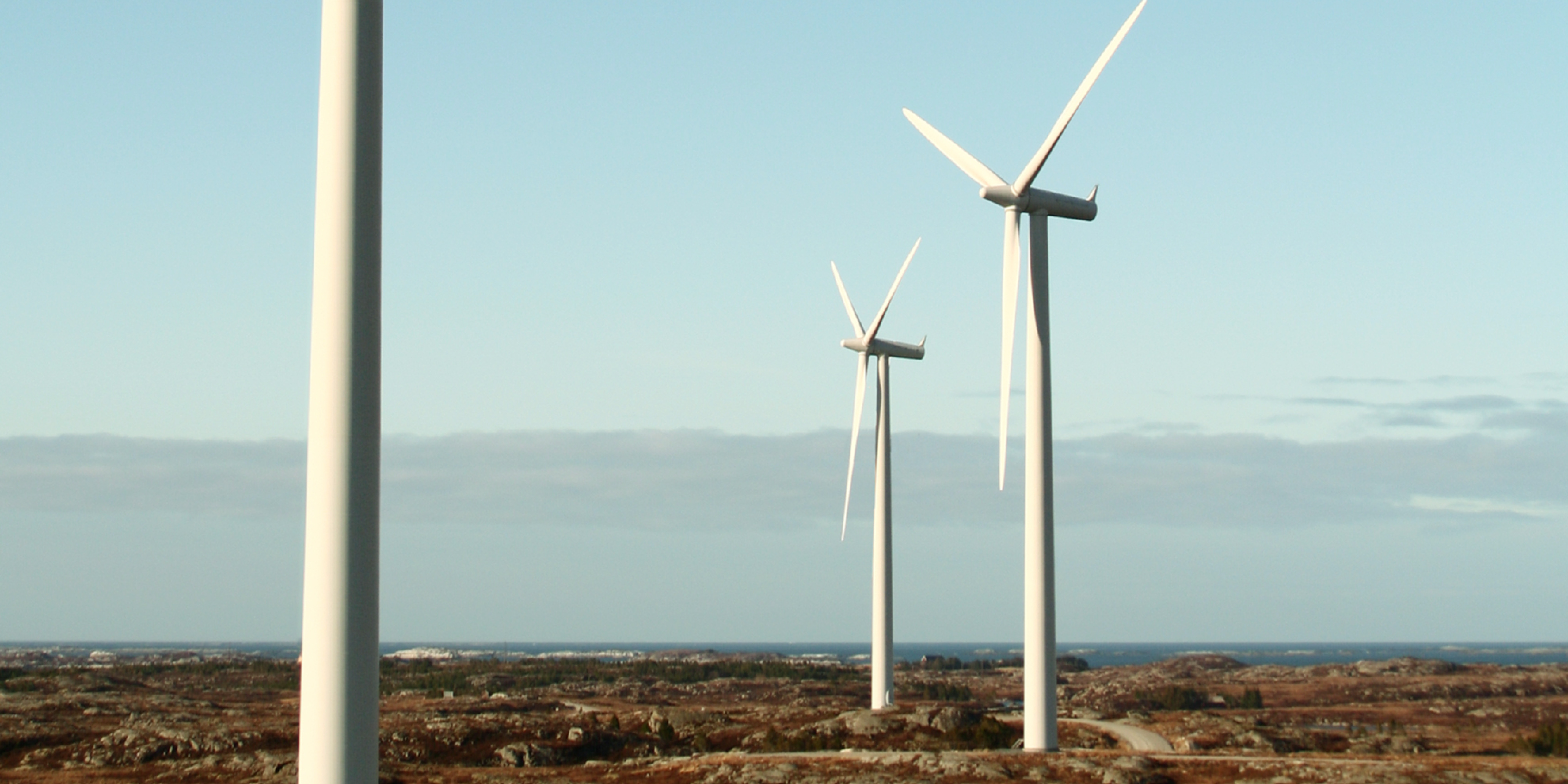 Vind - eller forsvinn?