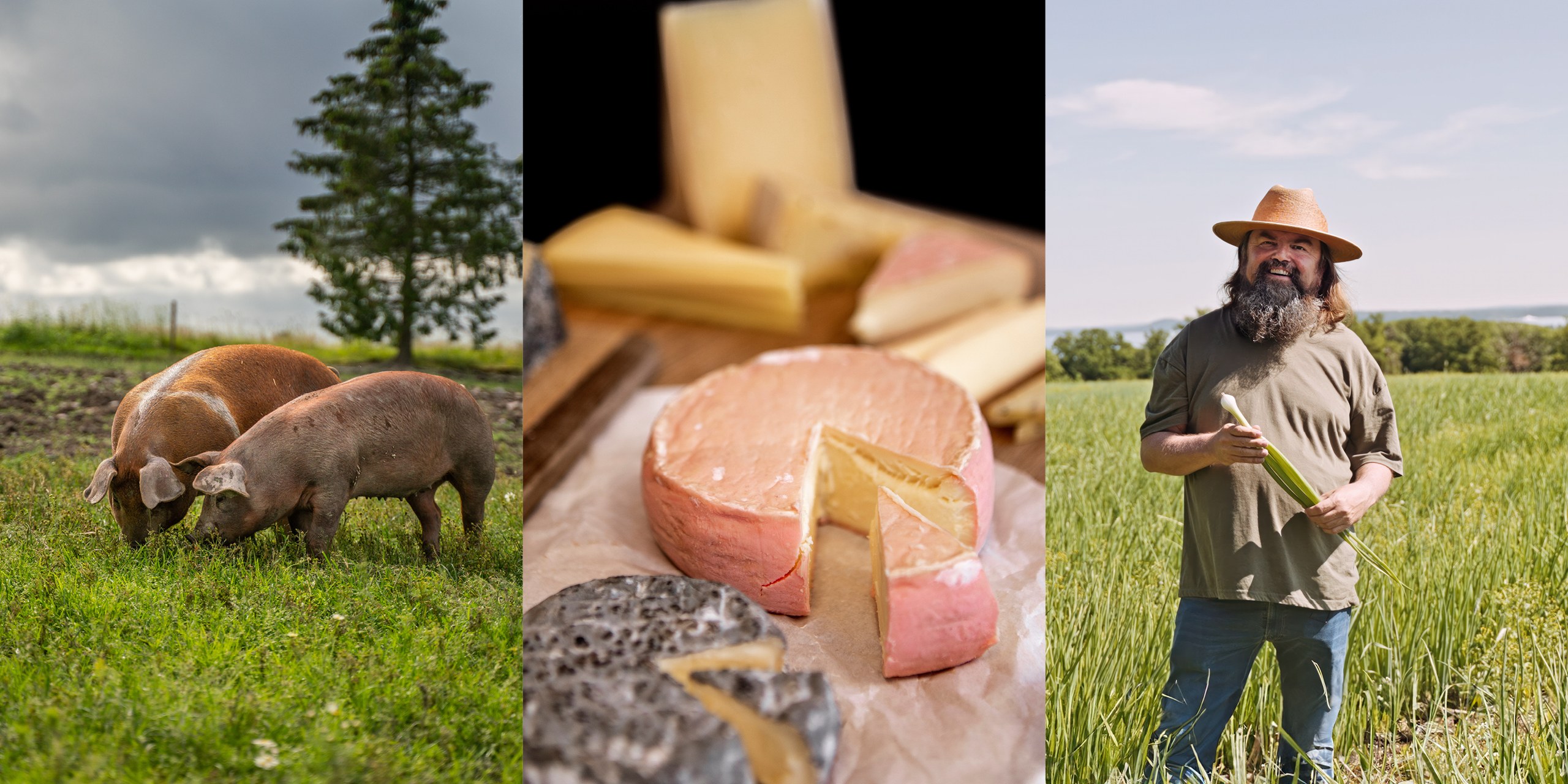 Felles mål om å løfte norsk matkultur  