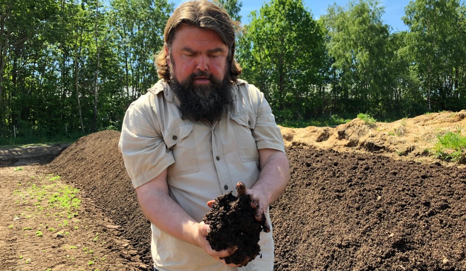 Løk dyrket av matavfallet ditt