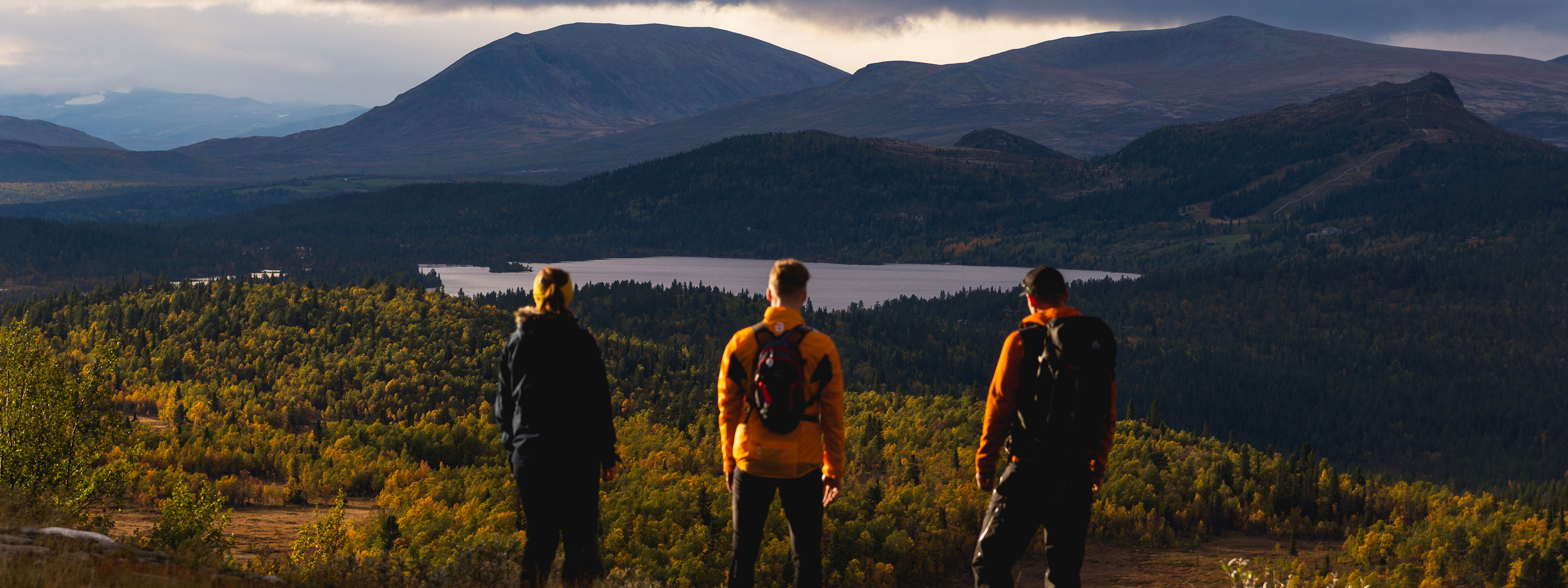 Trumf har inngått avtale med Innlandskraft
