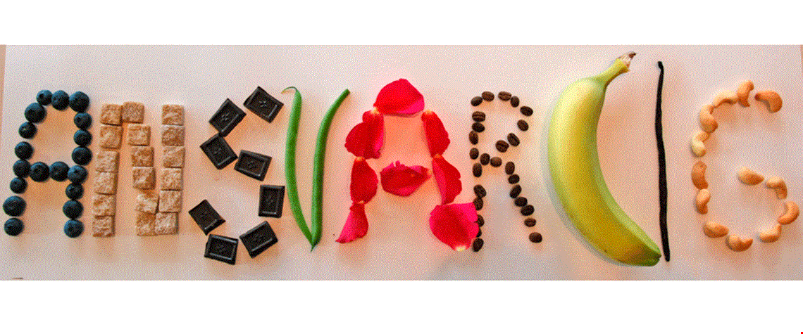 NorgesGruppen som samfunnsaktør