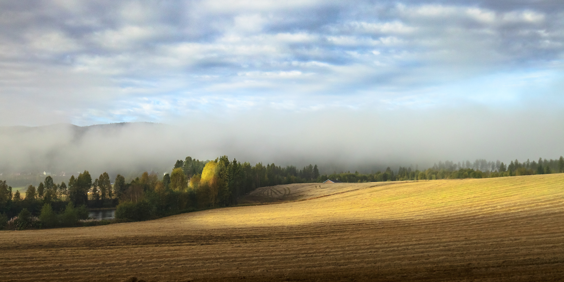 Kvalitet og bærekraft